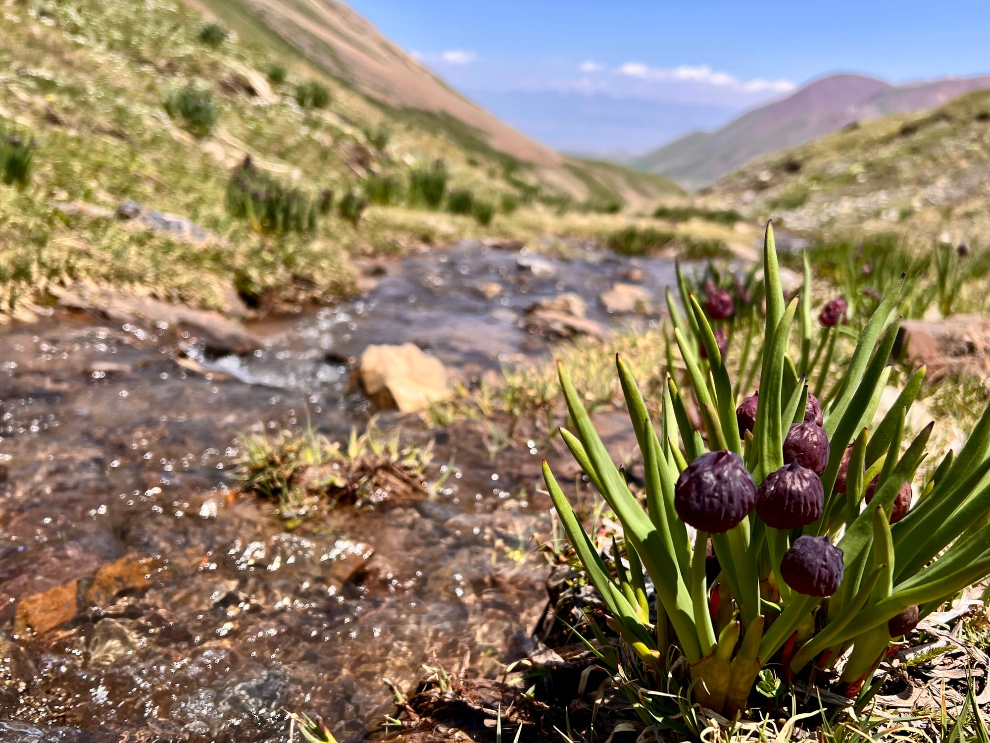 Hiking in Kyrgyzstan